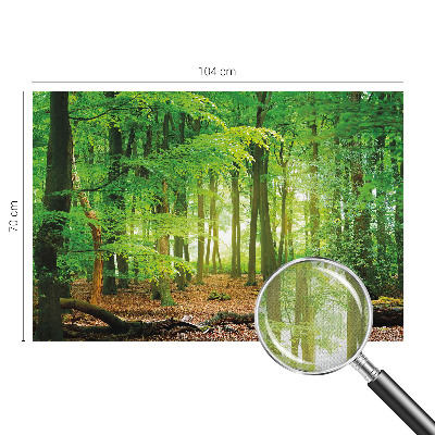 Peel and stick wallpaper mural Green forest