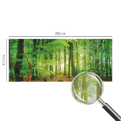 Peel and stick wallpaper mural Green forest