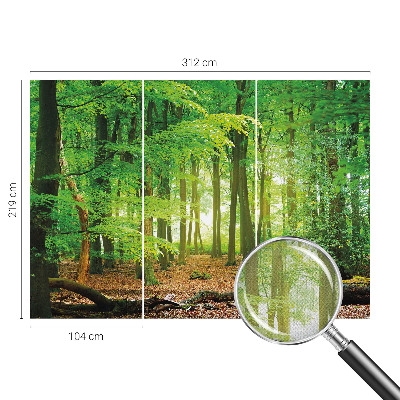 Peel and stick wallpaper mural Green forest