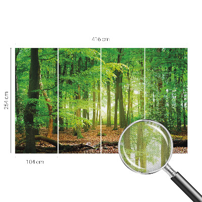 Peel and stick wallpaper mural Green forest