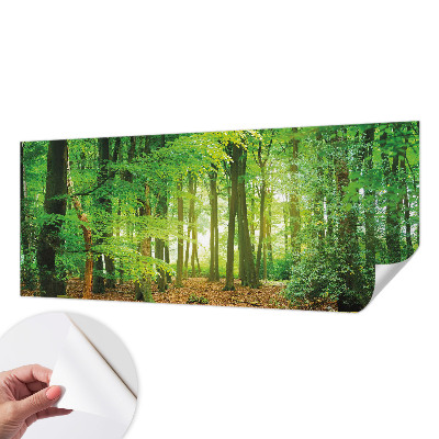 Peel and stick wallpaper mural with a green forest design