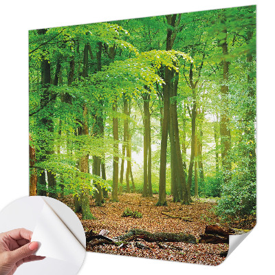 Peel and stick wallpaper mural with a green forest design
