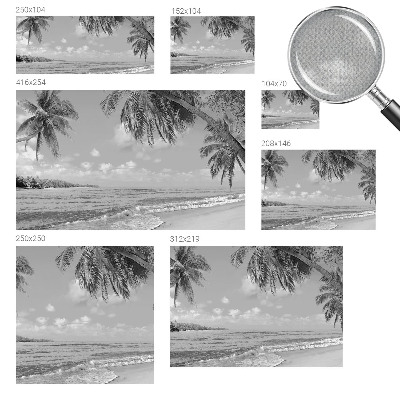 Self-adhesive wall mural with a tropical paradise design