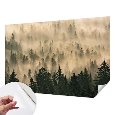 Peel and stick wall mural for living room with a forest fog scene