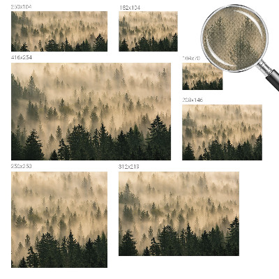 Peel and stick wall mural for living room with a forest fog scene