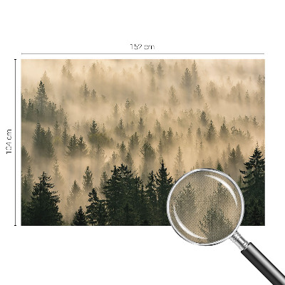 Peel and stick wall mural for living room with a forest fog scene