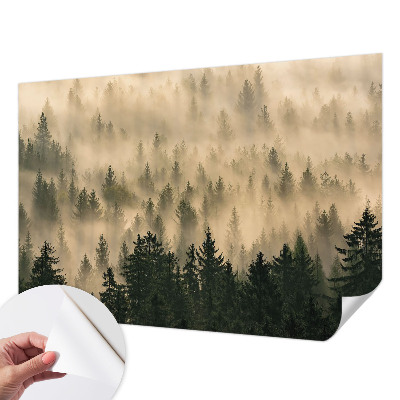 Peel and stick wall mural for living room Forest fog