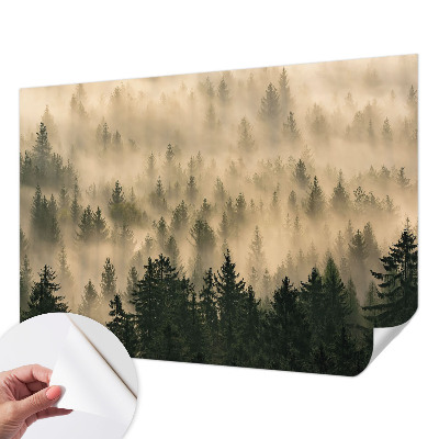 Peel and stick wall mural for living room with a forest fog scene