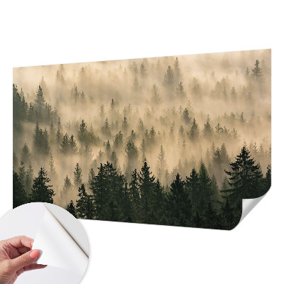 Peel and stick wall mural for living room Forest fog