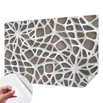 Removable wall mural with a geometric network pattern