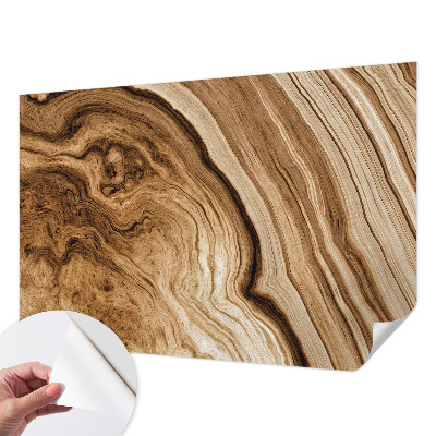 Peel and stick wall mural for living room with a natural wood grain finish