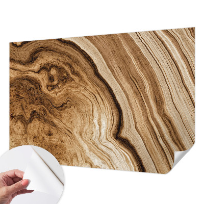 Peel and stick wall mural for living room with a natural wood grain finish