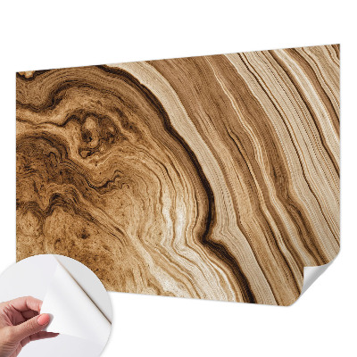 Peel and stick wall mural for living room with a natural wood grain finish