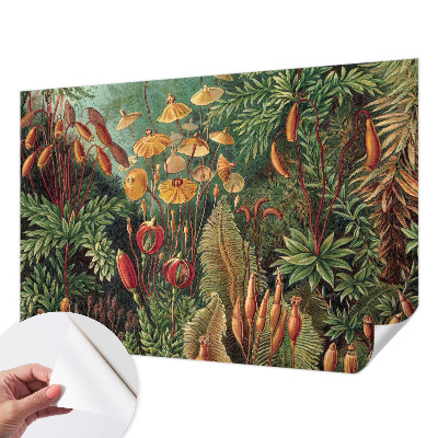 Peel and stick wall mural for kids' room with an exotic garden design