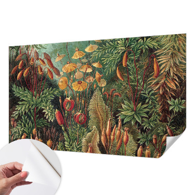 Peel and stick wall mural for kids' room Exotic garden