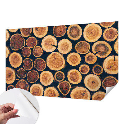 3D photo wallpaper mural with a wooden circles design