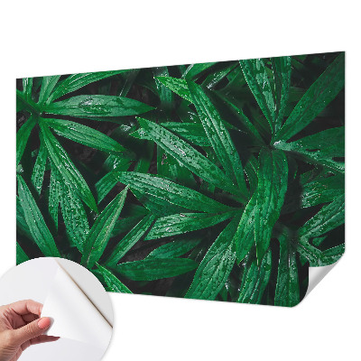 Peel and stick wall mural for kids' room with a natural greenery design