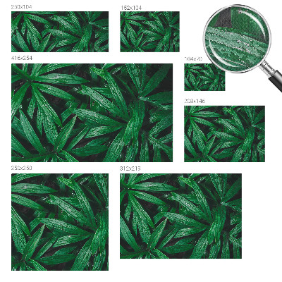 Peel and stick wall mural for kids' room Natural greenery