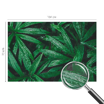 Peel and stick wall mural for kids' room Natural greenery