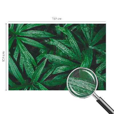 Peel and stick wall mural for kids' room with a natural greenery design