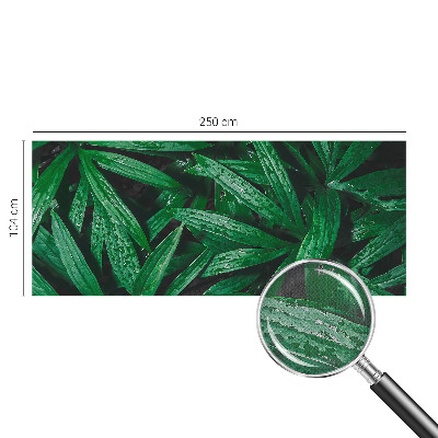 Peel and stick wall mural for kids' room with a natural greenery design