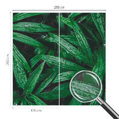 Peel and stick wall mural for kids' room Natural greenery