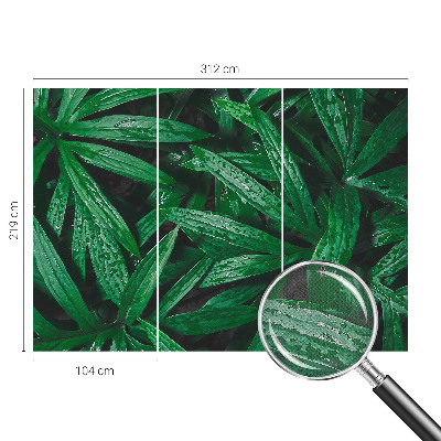 Peel and stick wall mural for kids' room with a natural greenery design