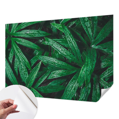 Peel and stick wall mural for kids' room with a natural greenery design