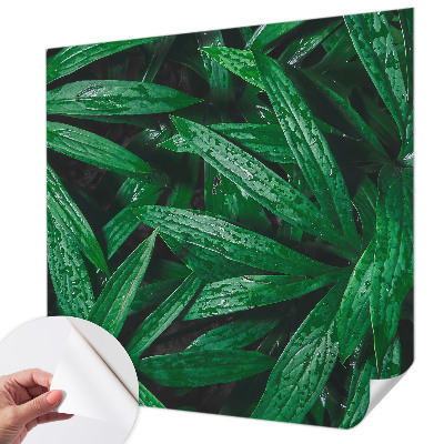 Peel and stick wall mural for kids' room Natural greenery