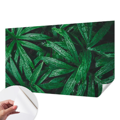Peel and stick wall mural for kids' room with a natural greenery design