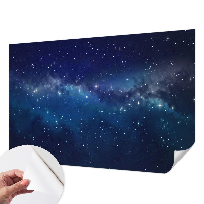 Peel and stick wall mural Starry Night