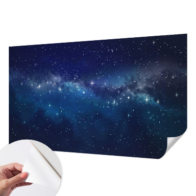 Peel and stick wall mural Starry Night