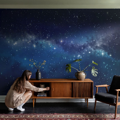 Peel and stick wall mural Starry Night