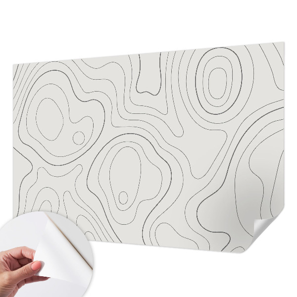 Peel and stick wallpaper mural with fluid lines design