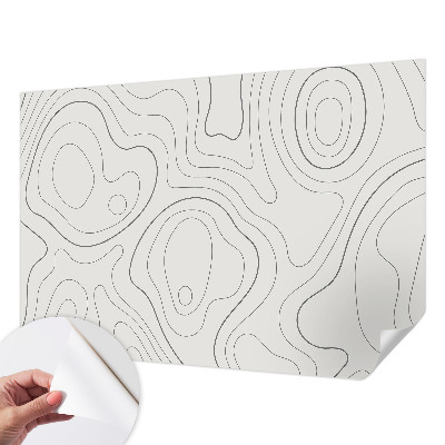 Peel and stick wallpaper mural with fluid lines design