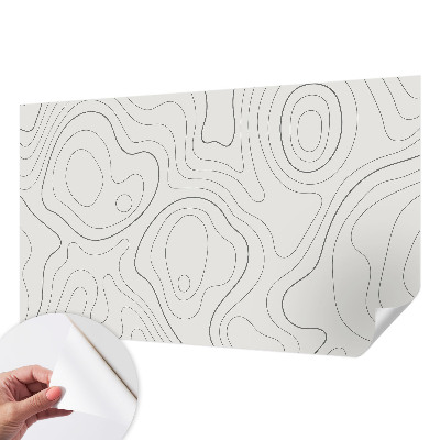 Peel and stick wallpaper mural with fluid lines design