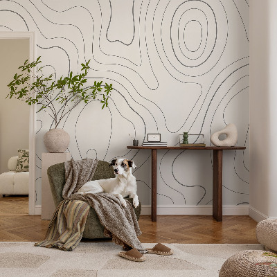 Peel and stick wallpaper mural with fluid lines design