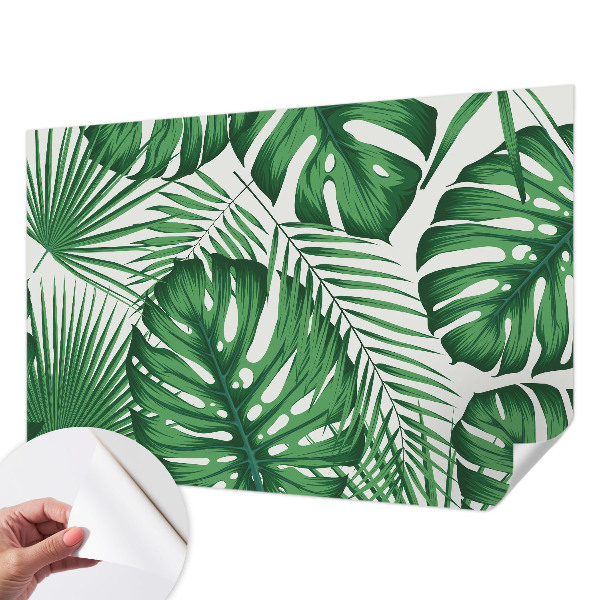 Removable wall mural Tropical leaves