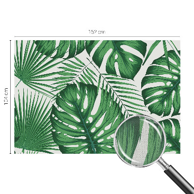 Removable wall mural Tropical leaves