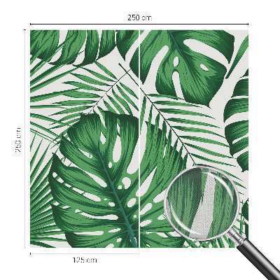Removable wall mural Tropical leaves