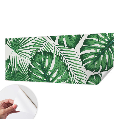 Removable wall mural Tropical leaves