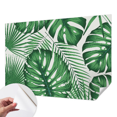 Removable wall mural with a tropical leaves design