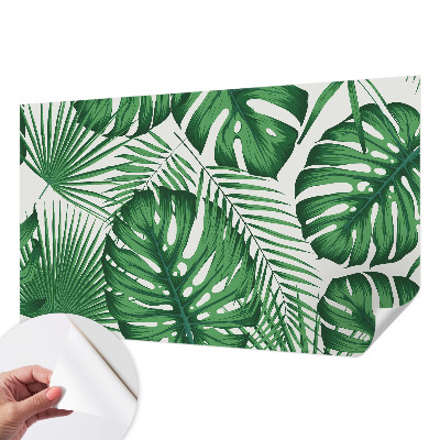 Removable wall mural Tropical leaves