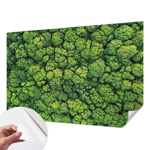 Peel and stick wall mural for kids' room Forest panorama