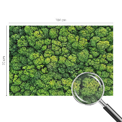 Peel and stick wall mural for kids' room featuring a forest panorama
