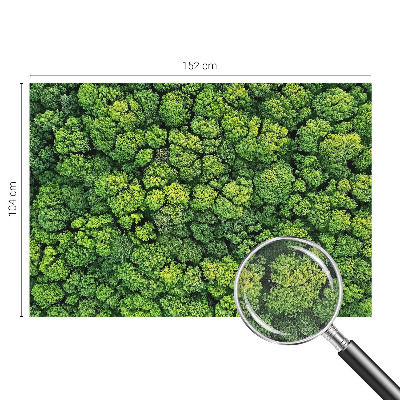 Peel and stick wall mural for kids' room featuring a forest panorama
