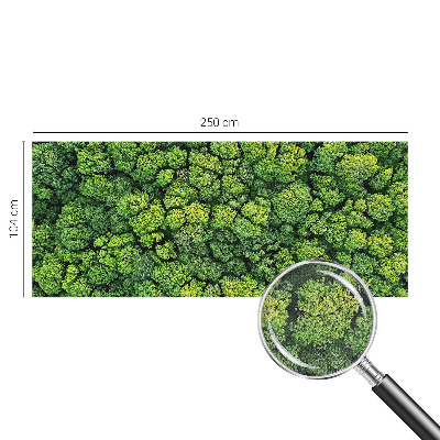 Peel and stick wall mural for kids' room featuring a forest panorama