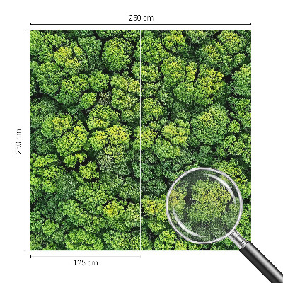 Peel and stick wall mural for kids' room Forest panorama