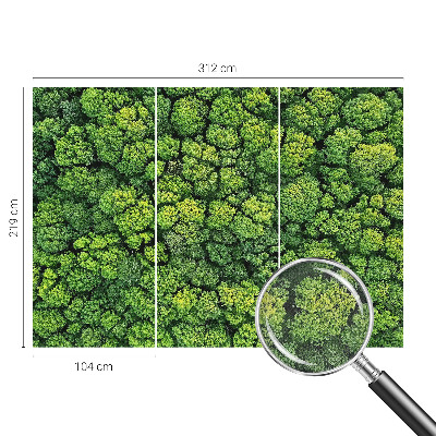 Peel and stick wall mural for kids' room Forest panorama