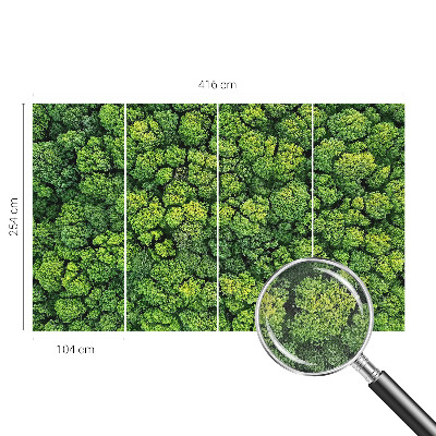 Peel and stick wall mural for kids' room featuring a forest panorama